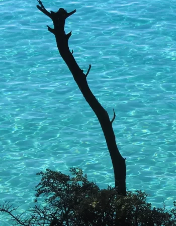 Σκόπελος